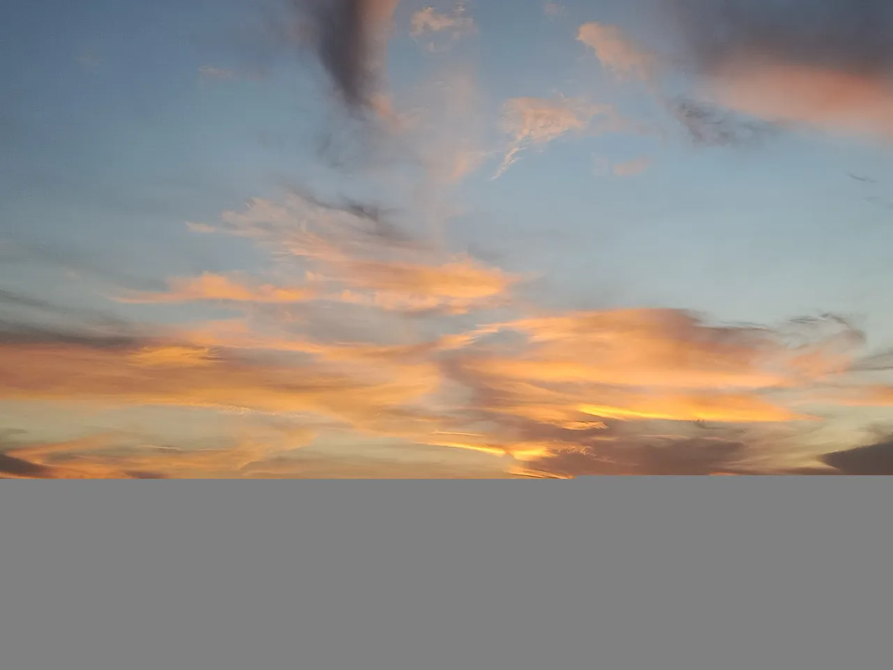 IMG20210430061551.jpg