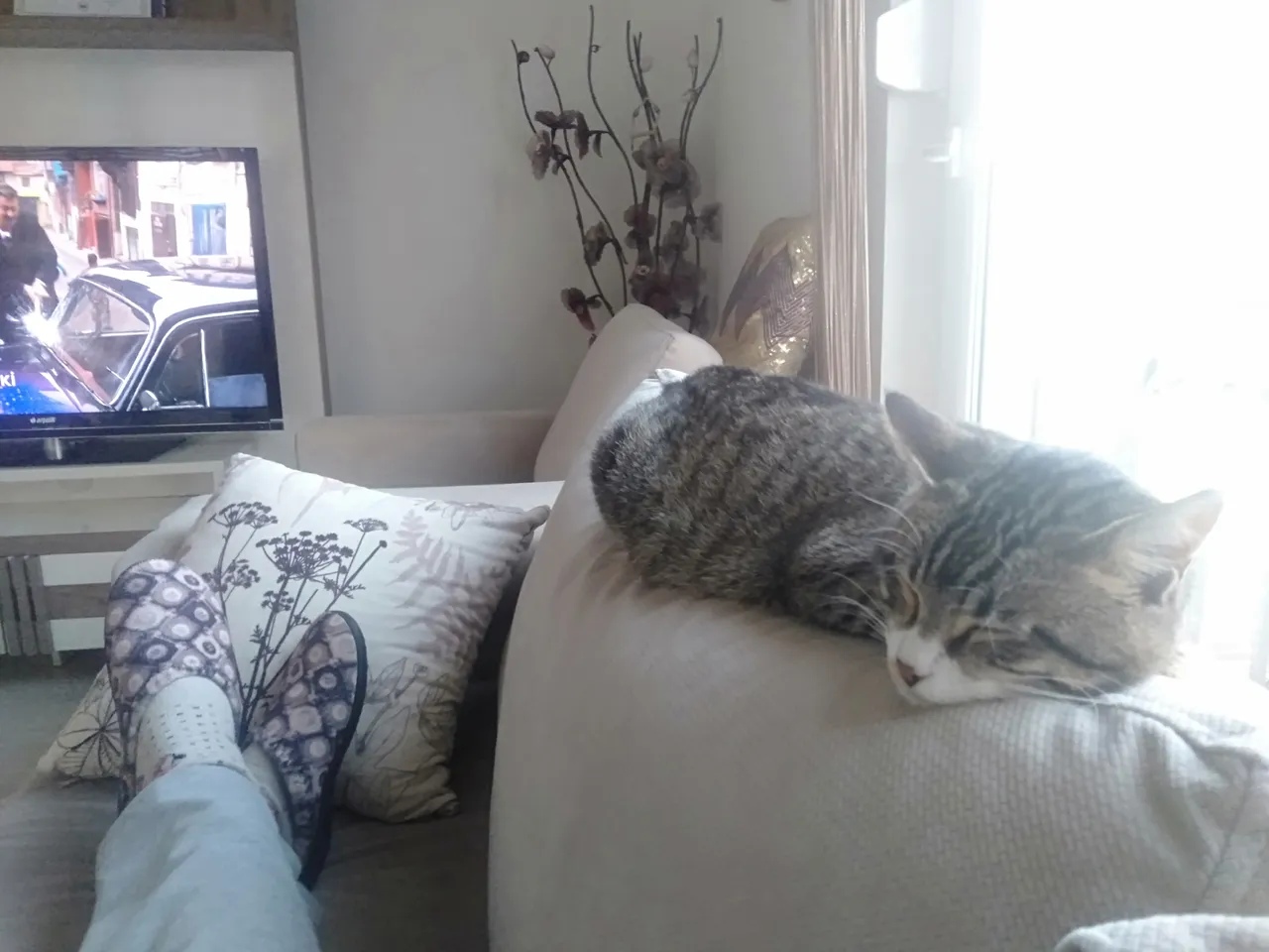 IMG20220116173543.jpg