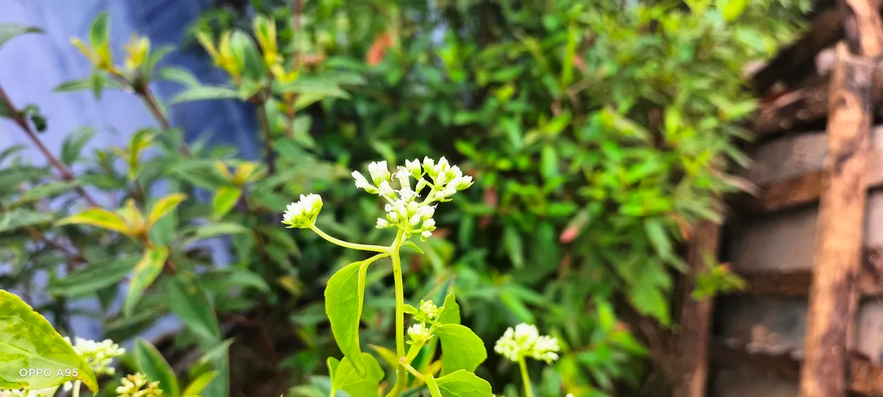 IMG20220122100354.jpg