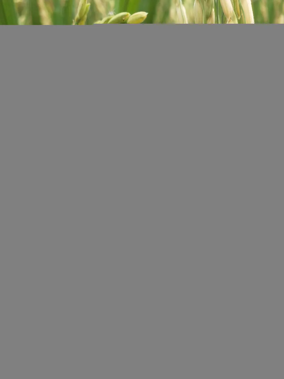 IMG20211019164447.jpg