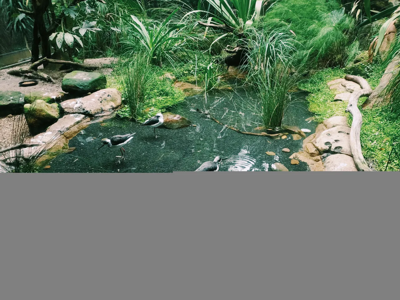 IMG20250615125626.jpg