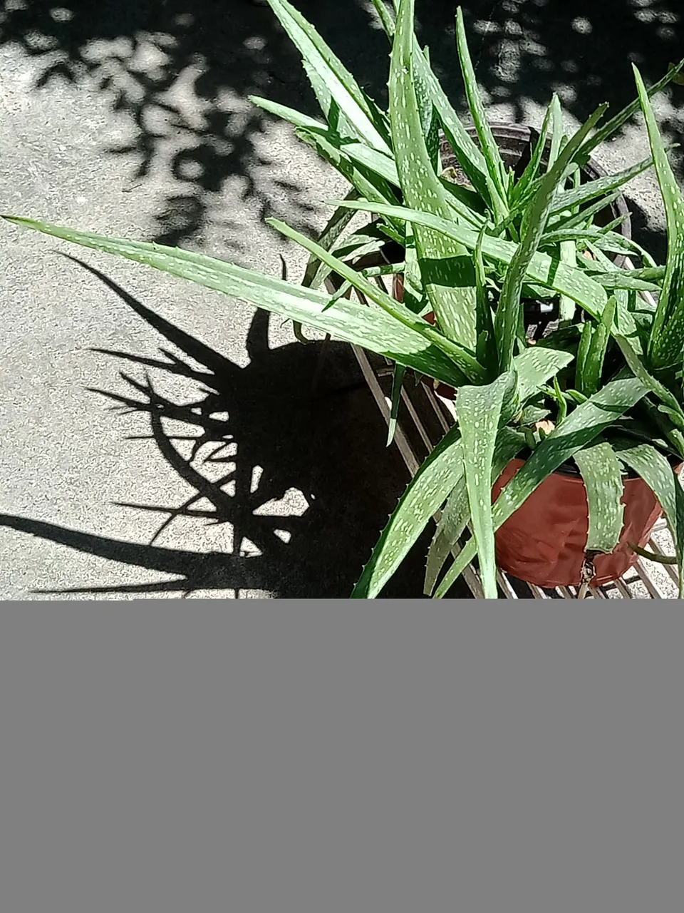 IMG20210421101247.jpg