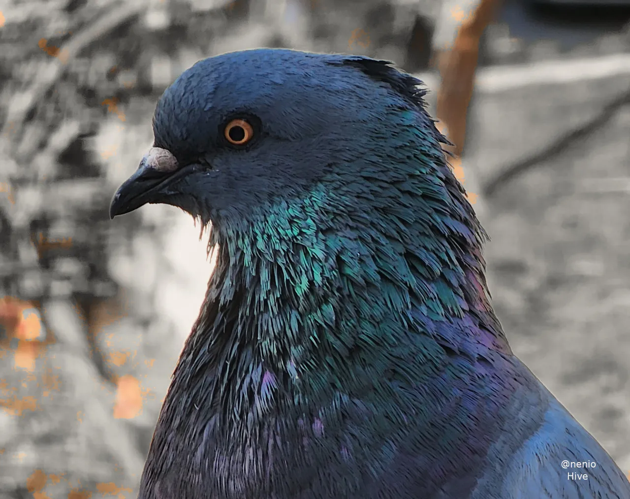 looking-you-002-m.jpg