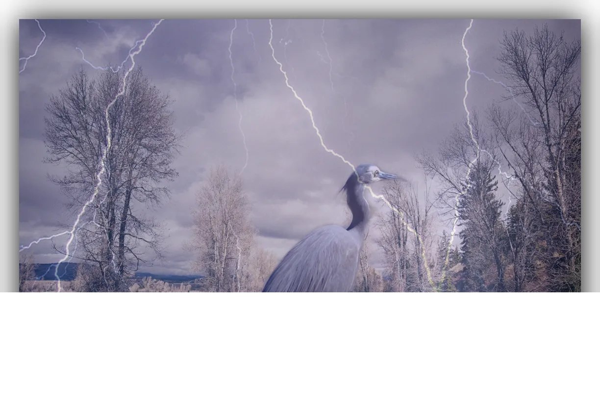 heron lightning.png