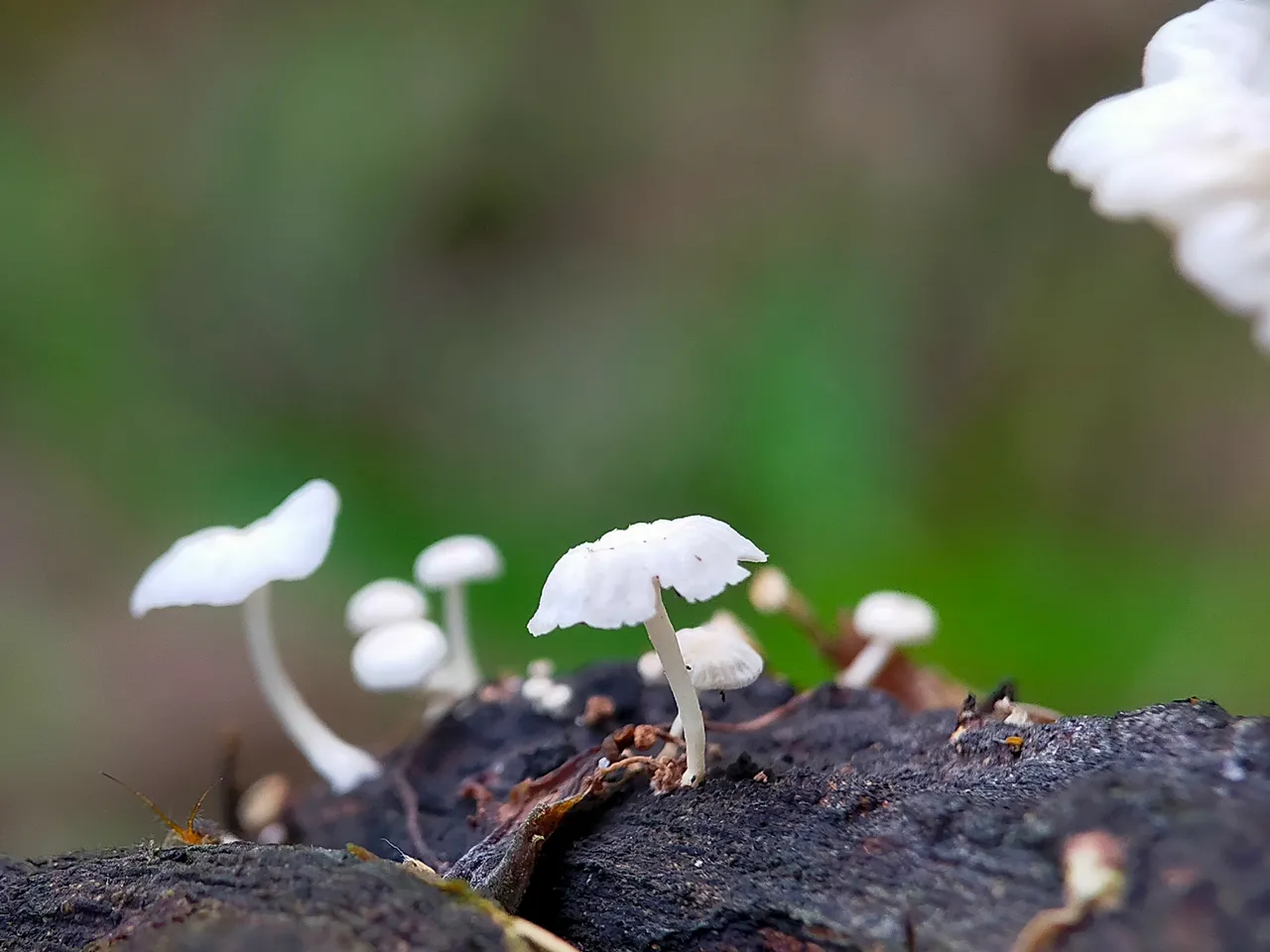 IMG20220114072942.jpg
