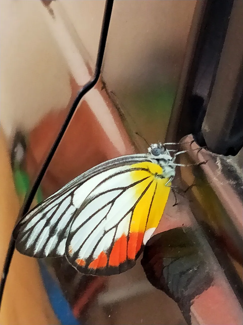 IMG20220717125521.jpg