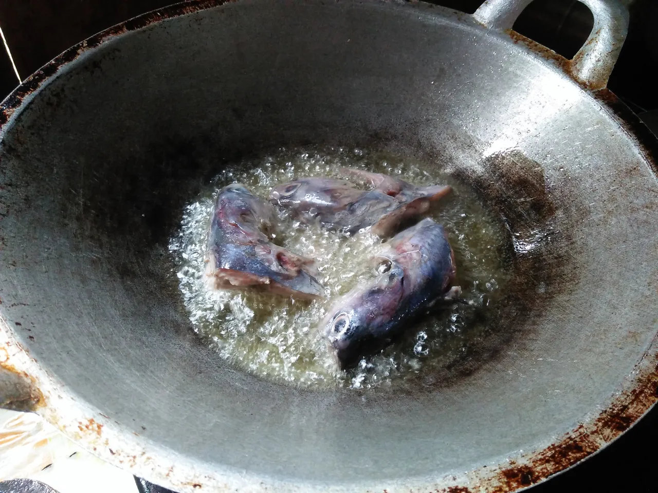 IMG20250127120424.jpg