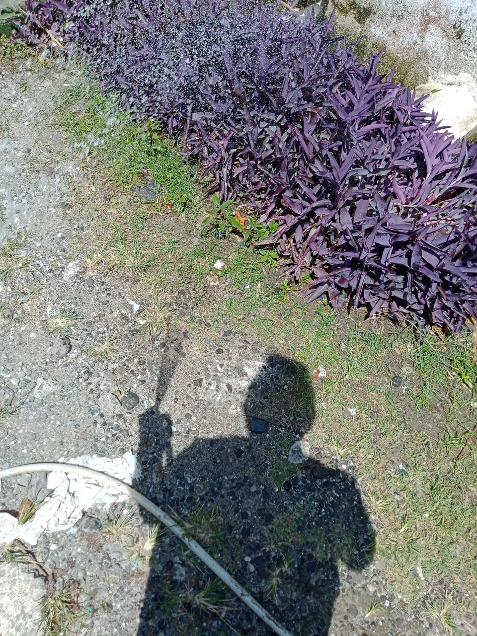 IMG20210421095118.jpg