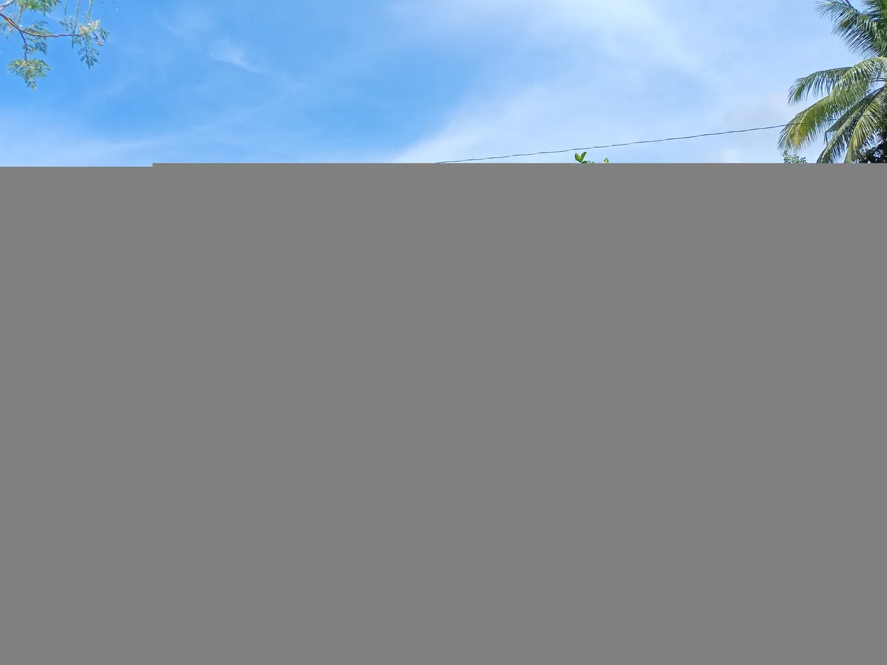 IMG20230604142531.jpg