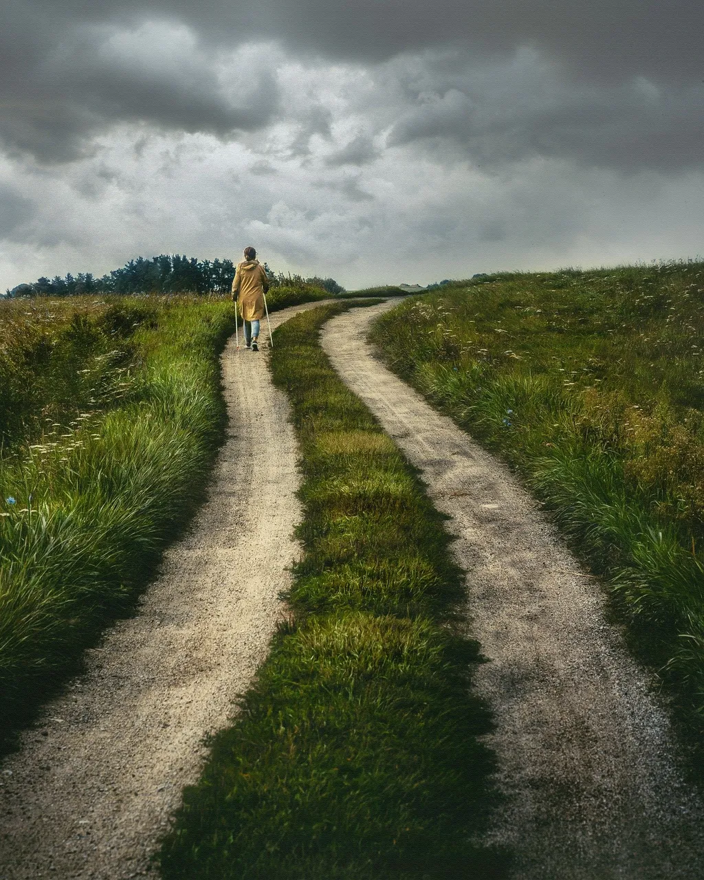 path-6567149_1920.jpg