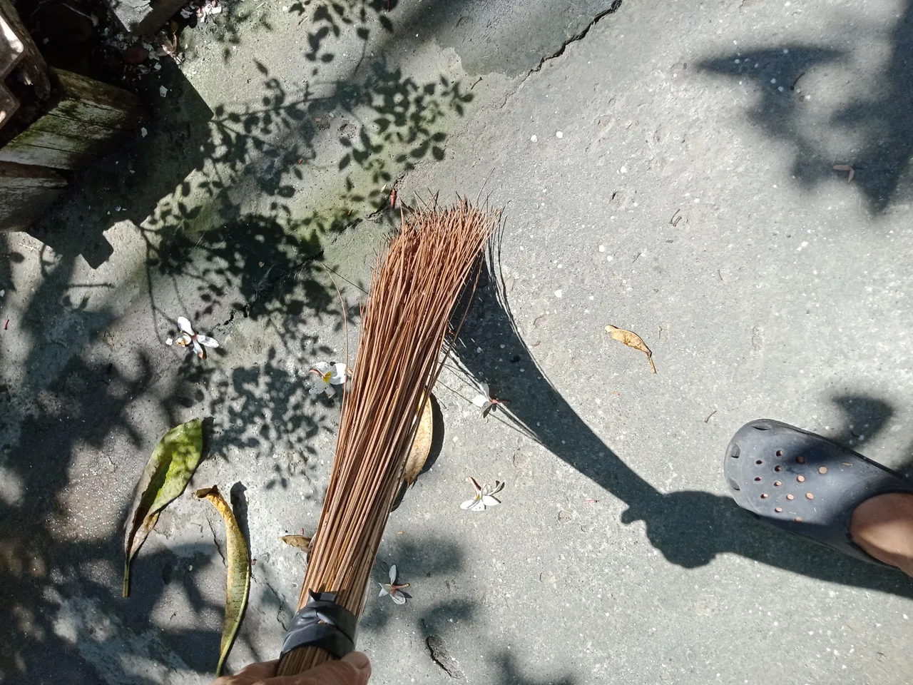 IMG20210421100055.jpg