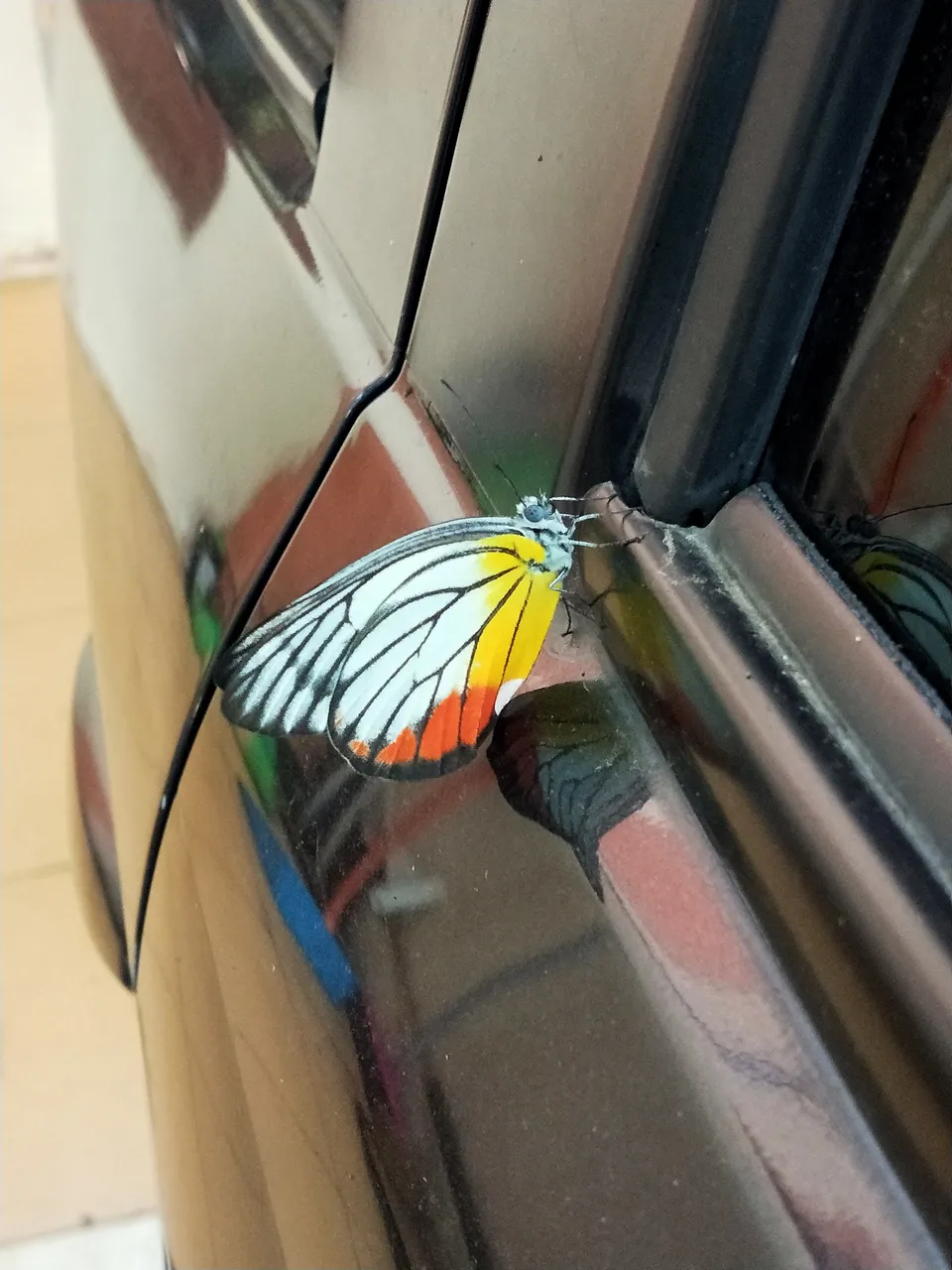 IMG20220717125514.jpg