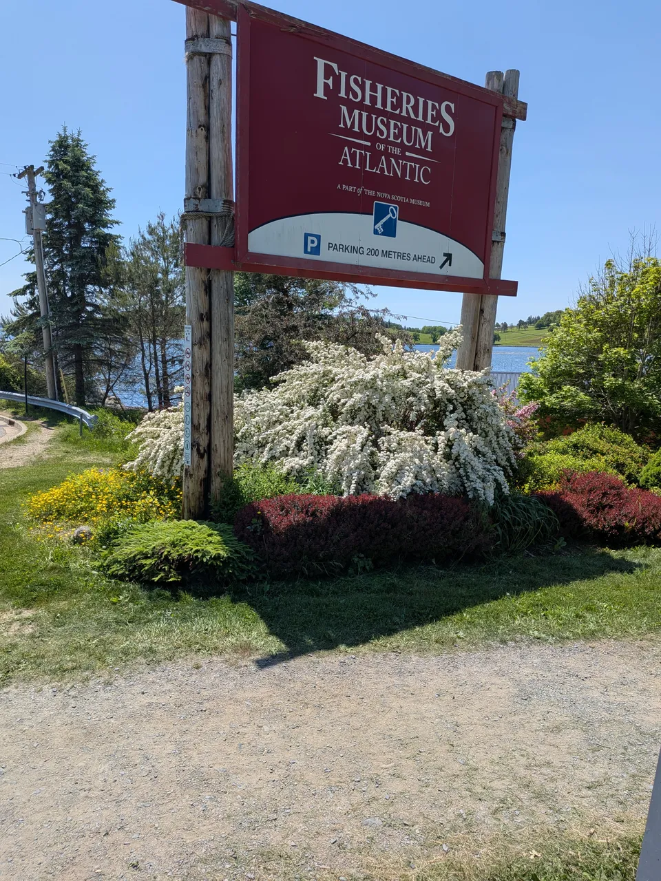 back-in-lunenburg.jpg