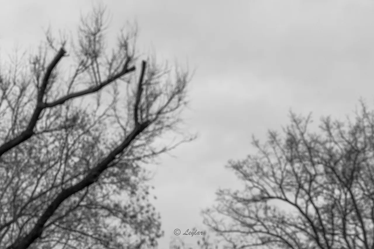 20230105-DSC05715.jpg