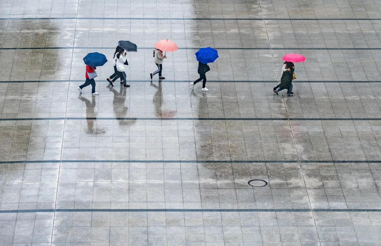 rain-7995866_1280.jpg