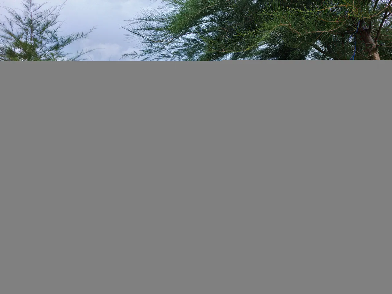 IMG20220226180130.jpg