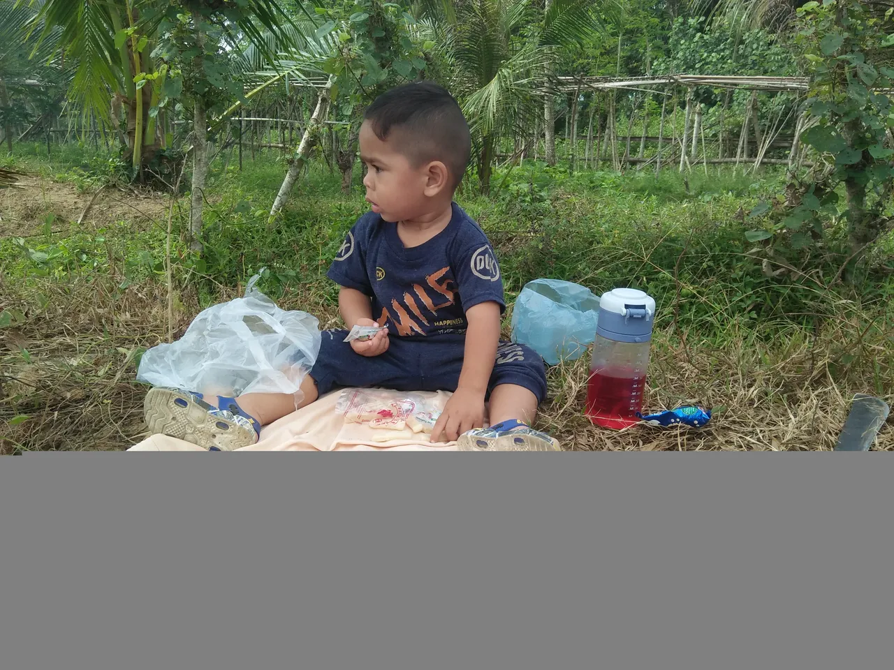 IMG20241108100224.jpg