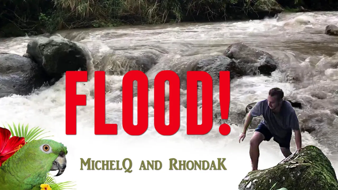 FLOOD thumbnail.jpg