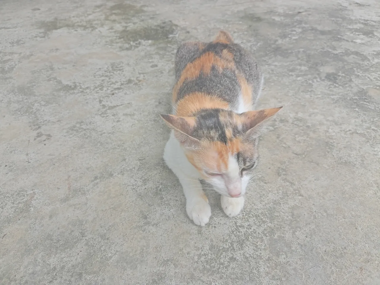 IMG20220210145701.jpg