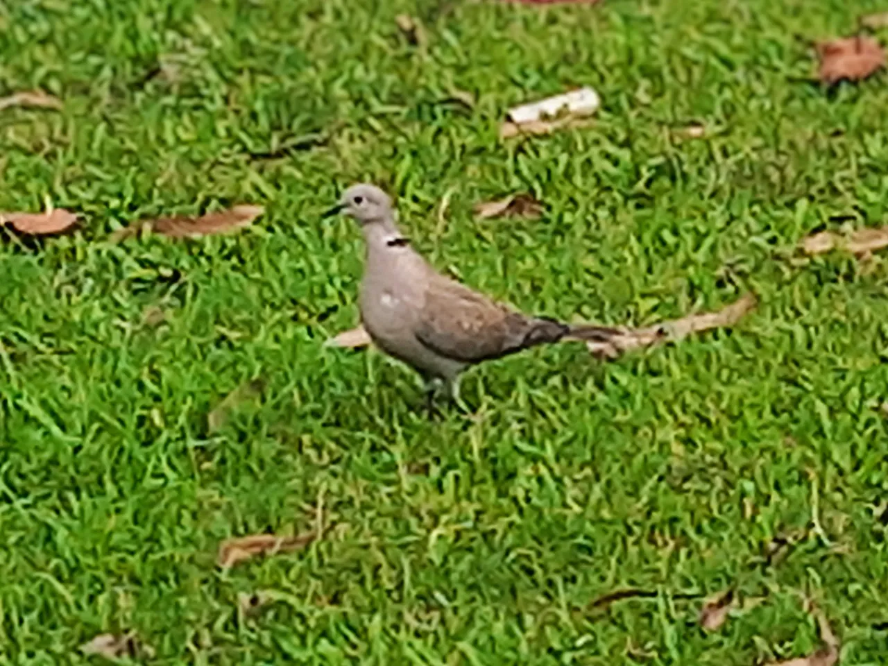 20250425_082402~2.jpg