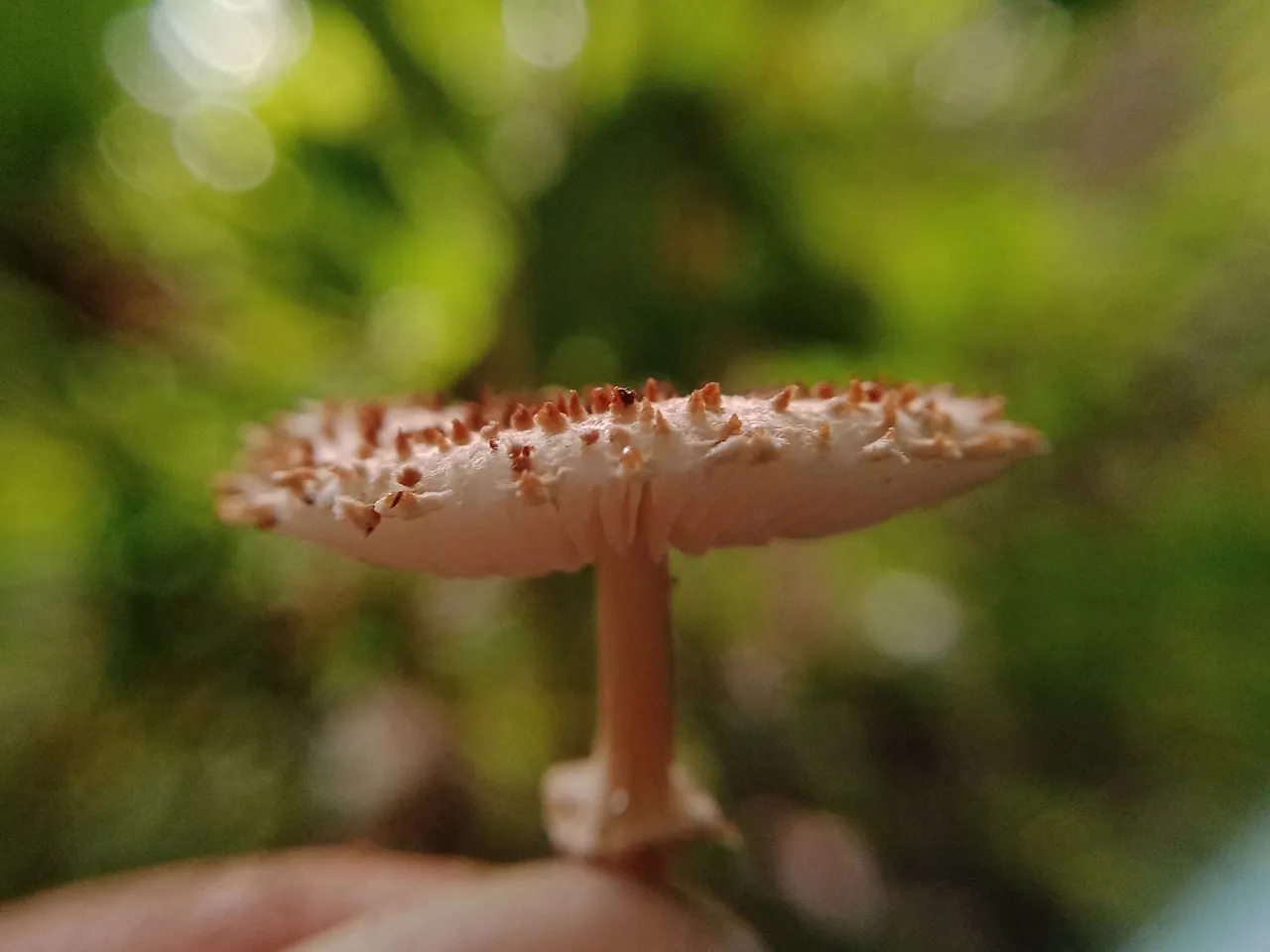 IMG20220904155917.jpg