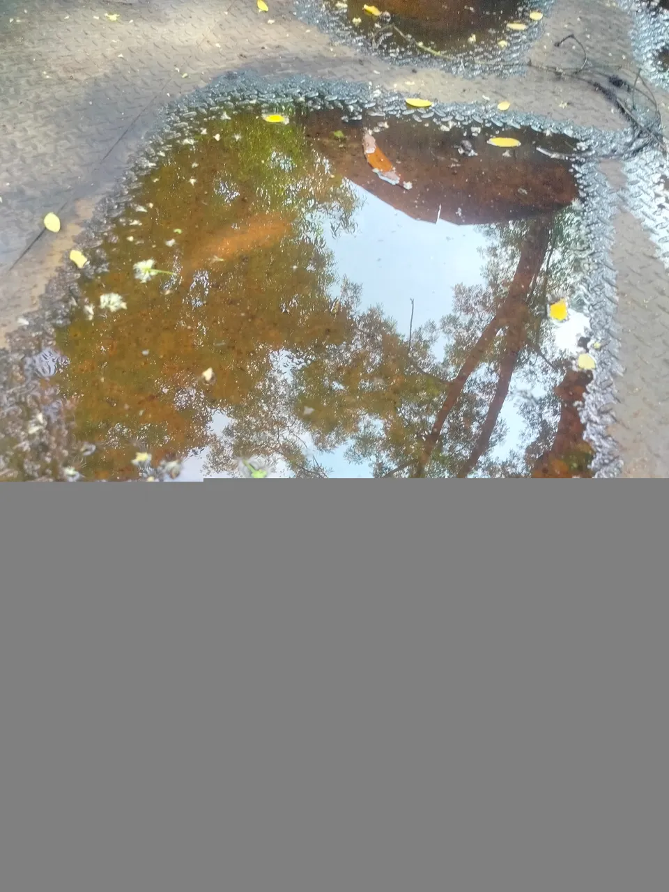IMG20231008132235.jpg
