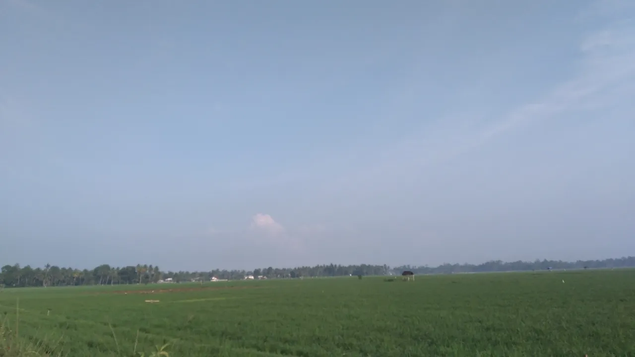 20240309_075754_1.jpg
