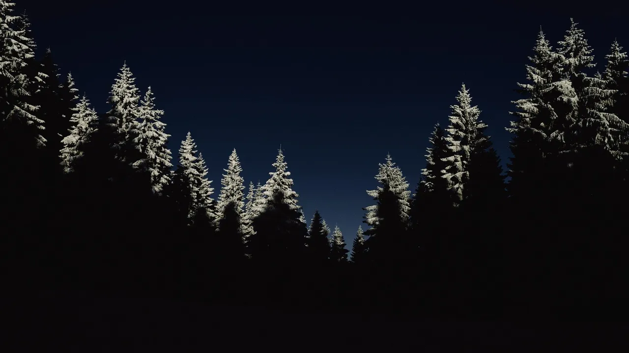cold-1866597_1920.jpg
