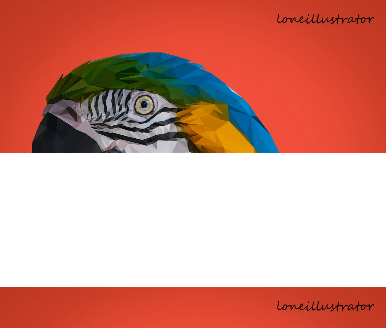 macaw-01resampled.png