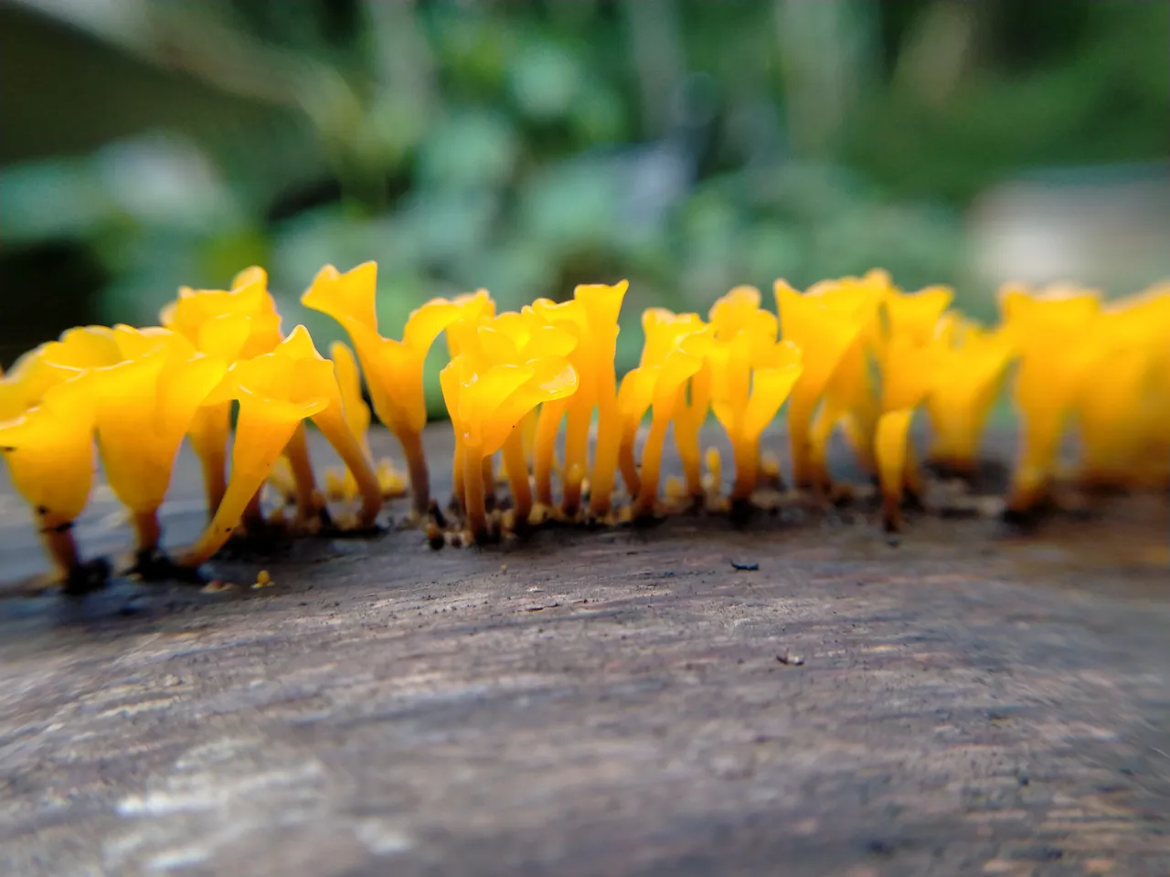 IMG20220102170551.jpg