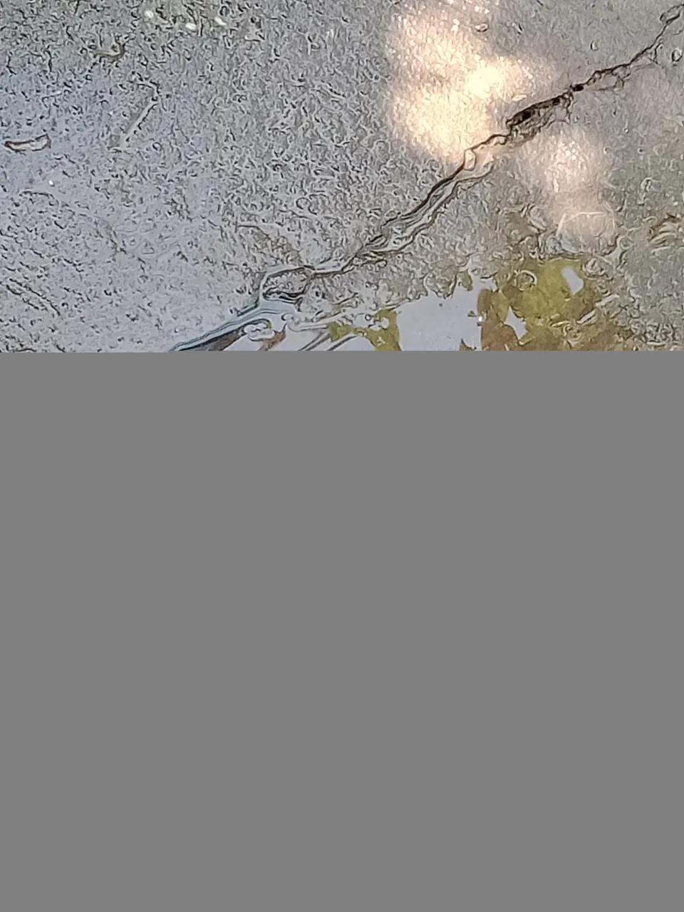 IMG20210421100249.jpg