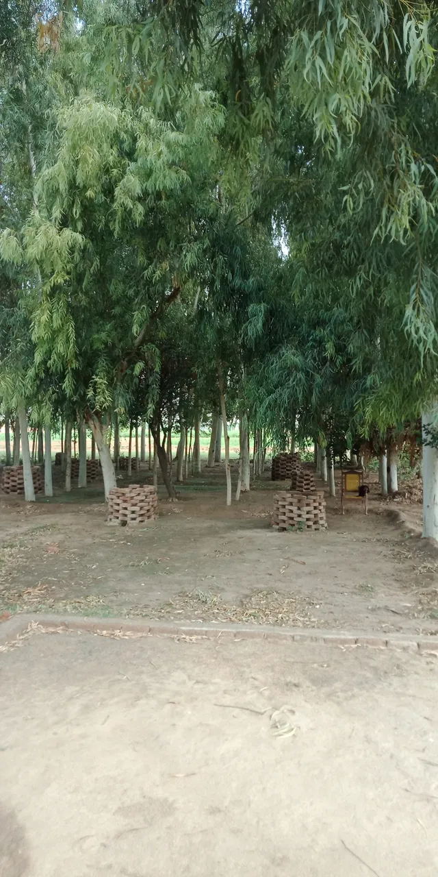 IMG20210922095301.jpg