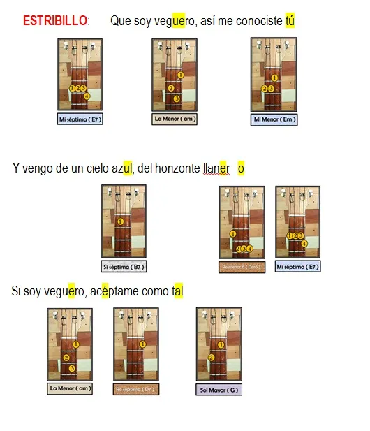 Soy veguero 3.jpg