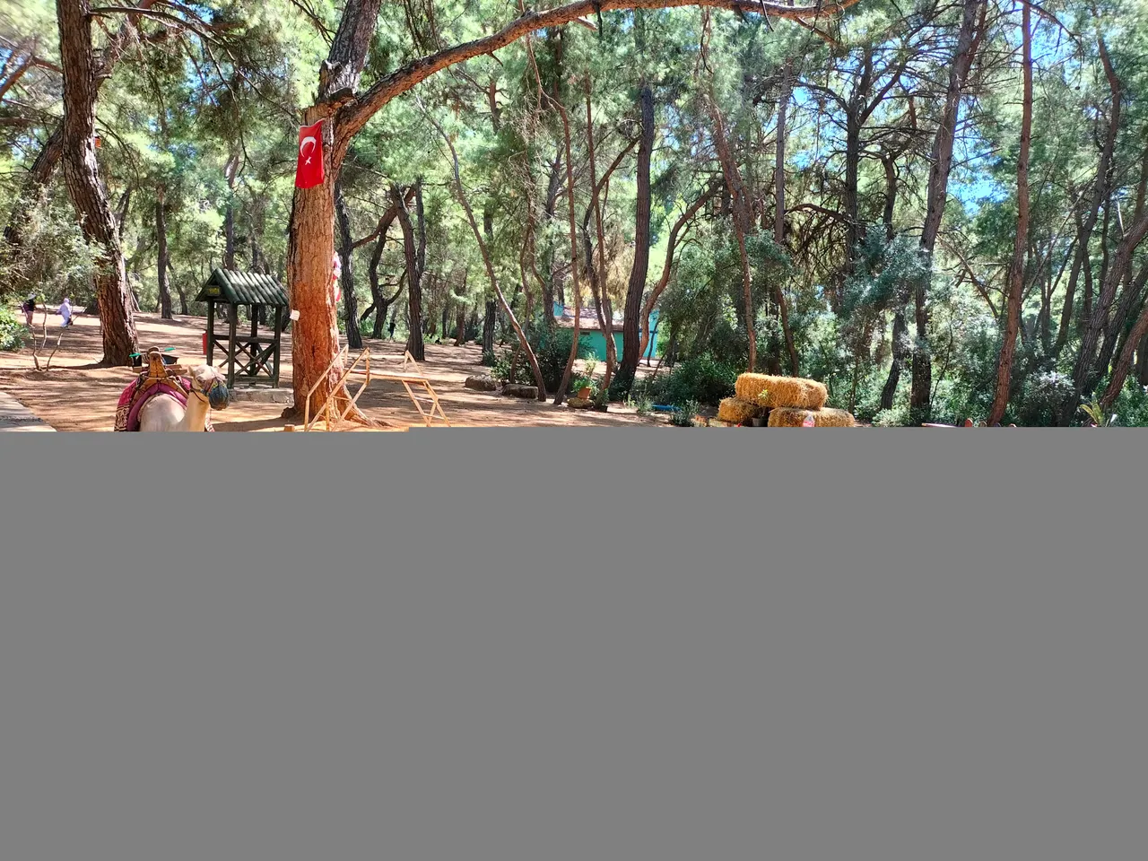 IMG20220902140552.jpg
