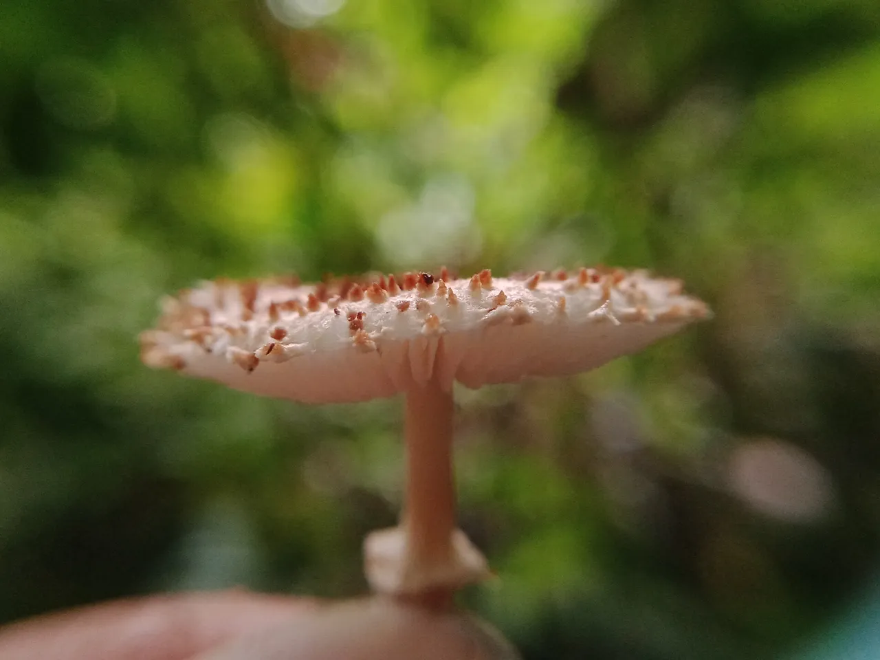 IMG20220904155915.jpg