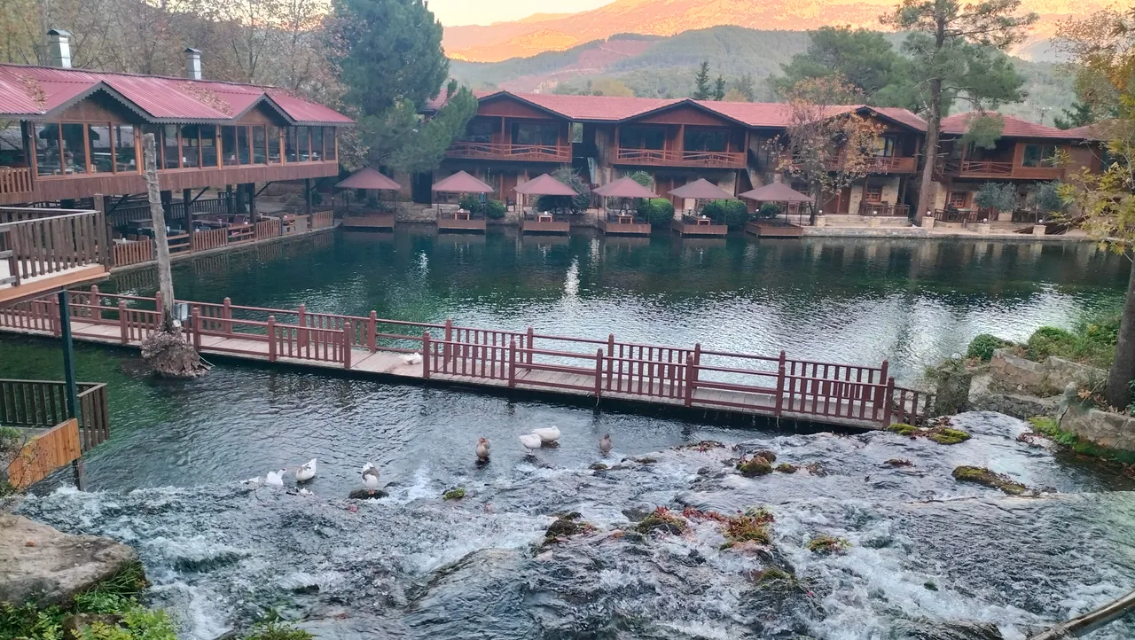 IMG20251116171628.jpg