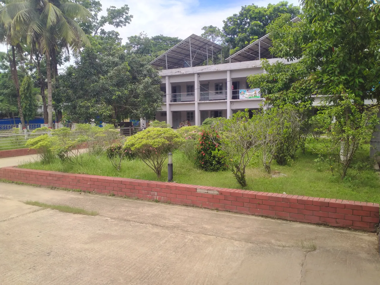 IMG20250625105221.jpg