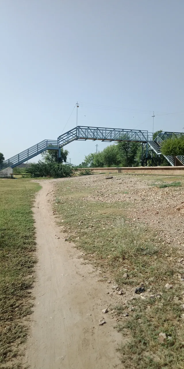 IMG20210911095402.jpg