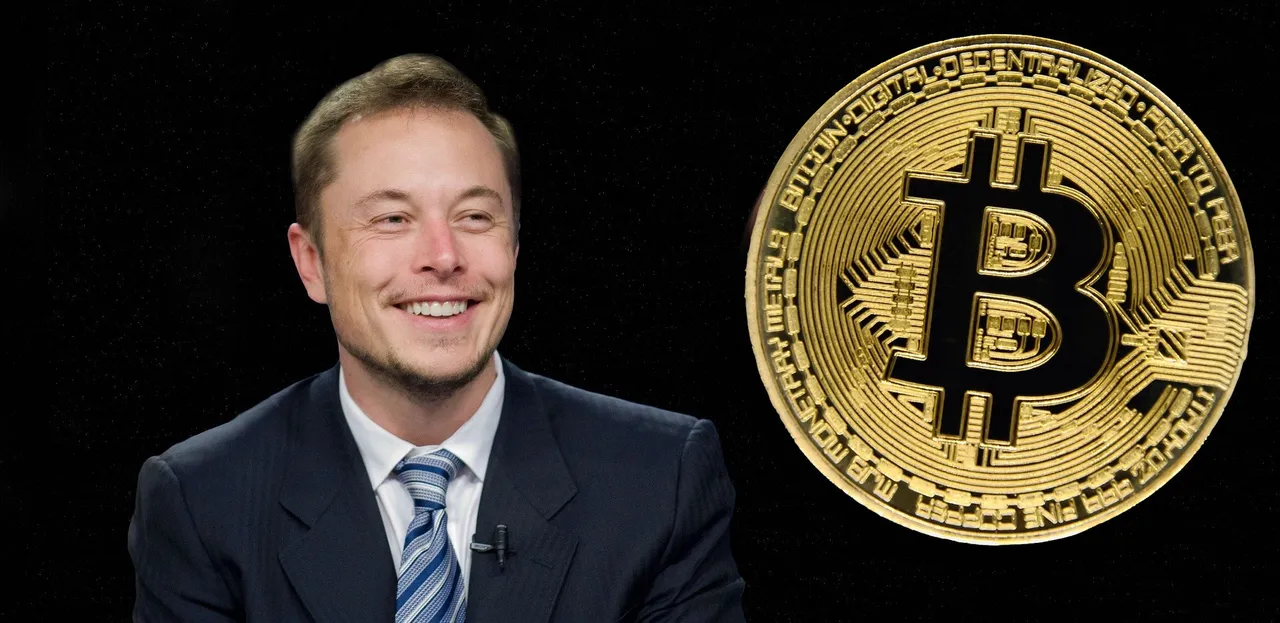 elon6083103_1920.jpg