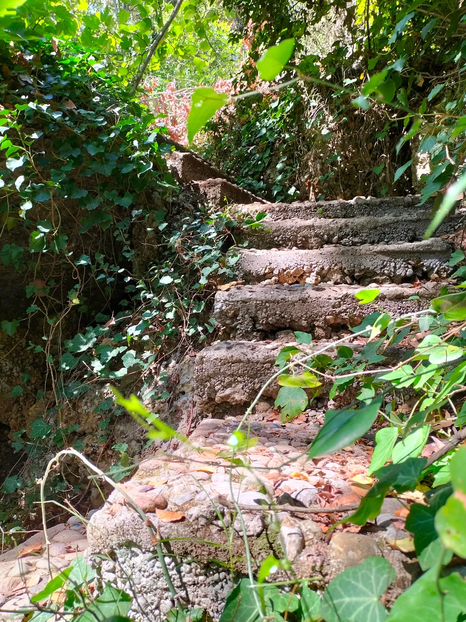IMG20220902145831.jpg