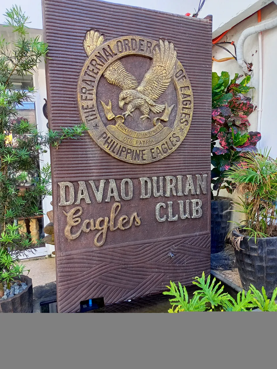 IMG20250726085354.jpg