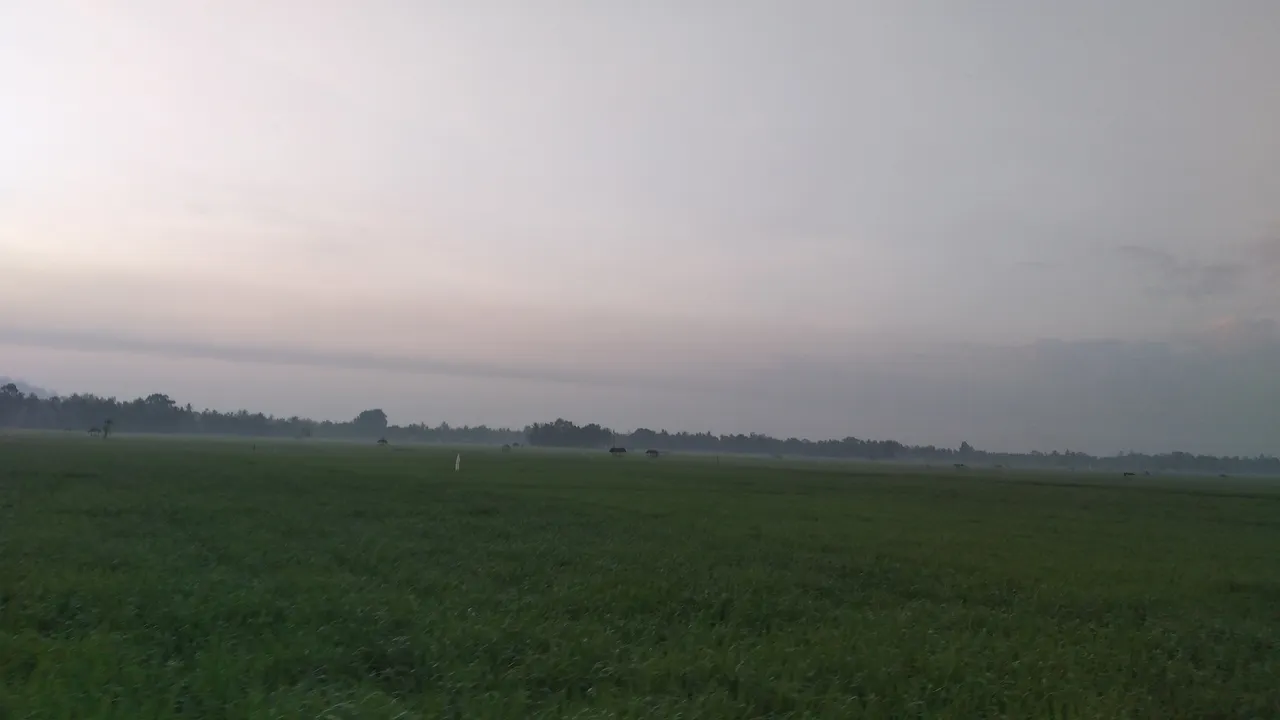 20240318_064331_1.jpg