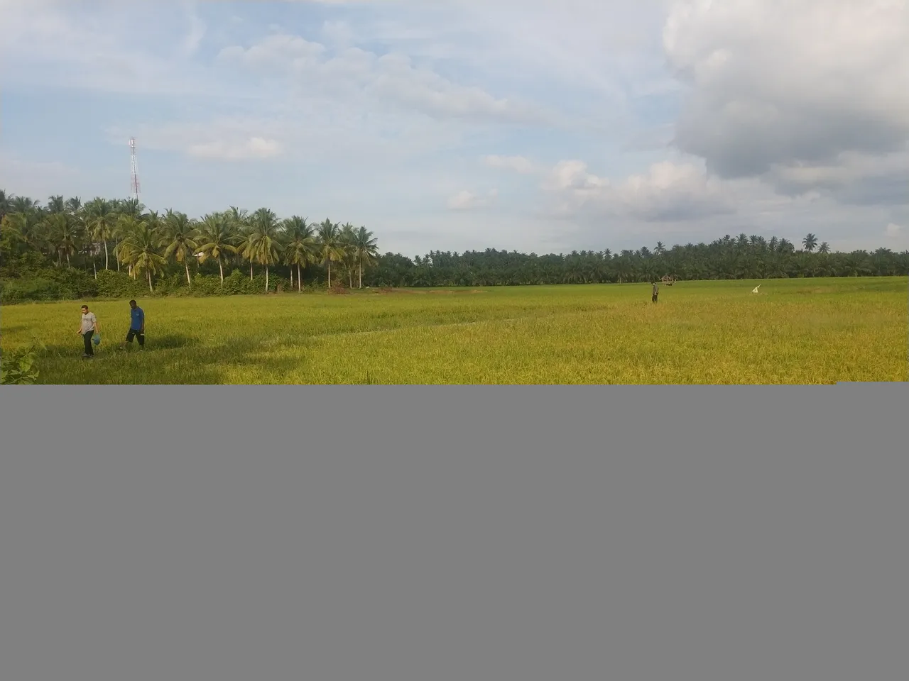 IMG20211019163527.jpg