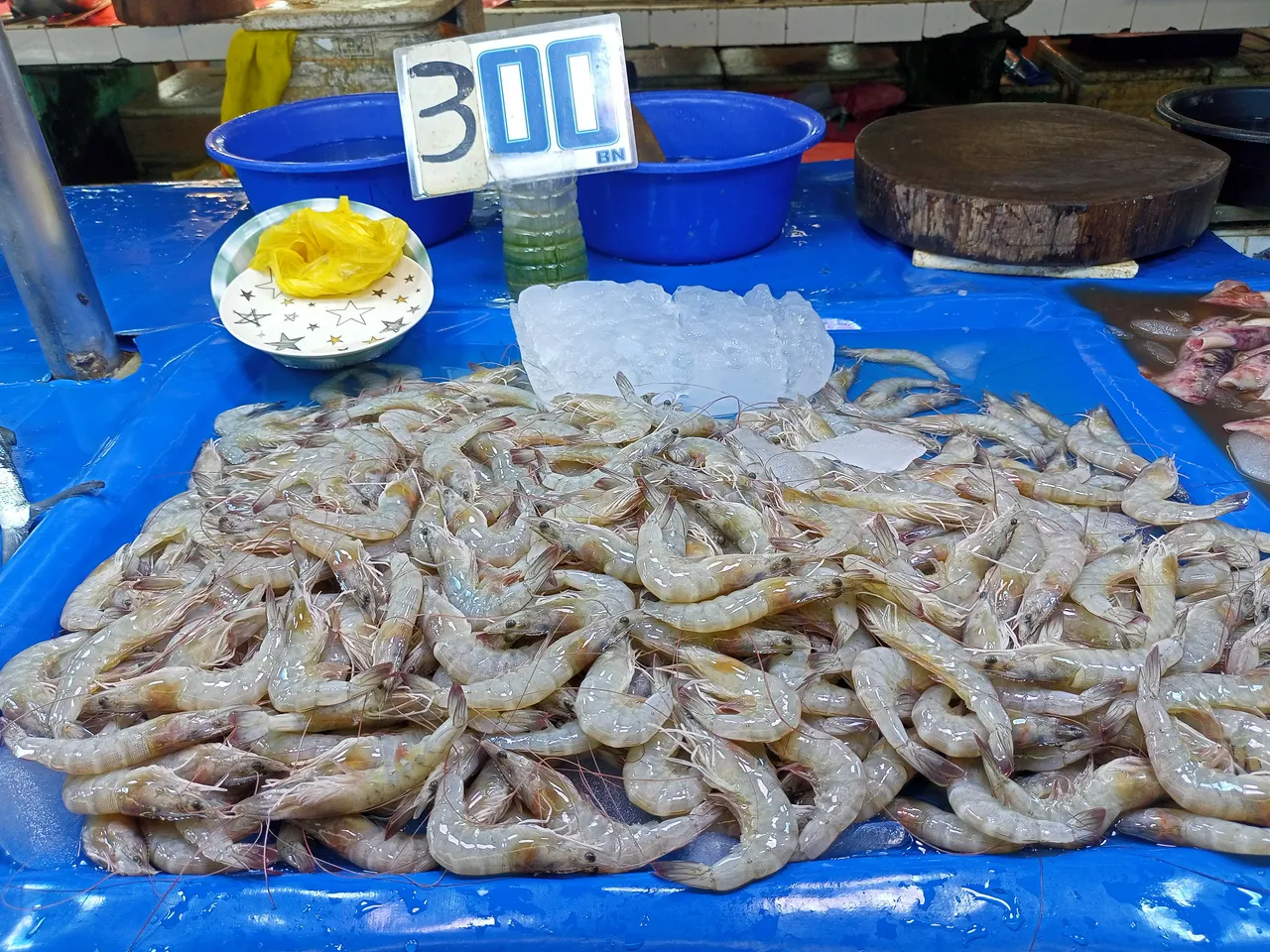 IMG20230918073014.jpg