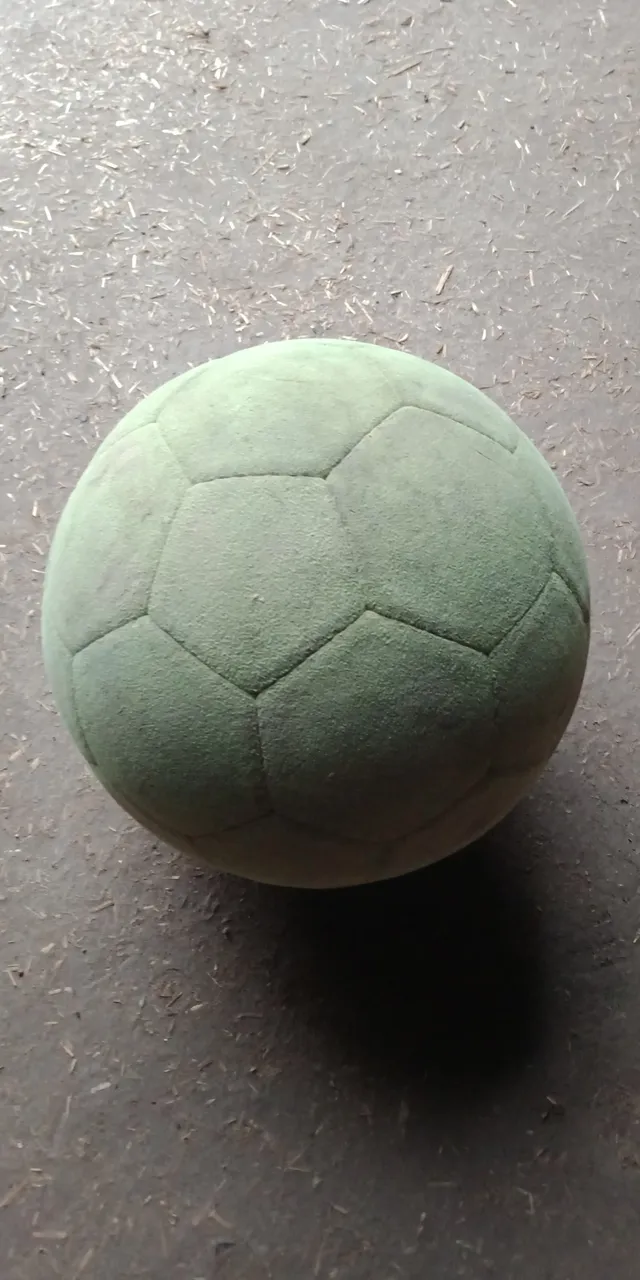 IMG20210908101226.jpg