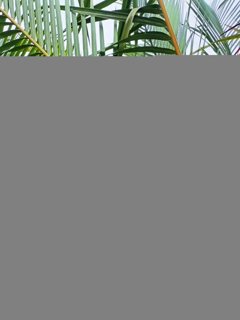 IMG20230227075634.jpg