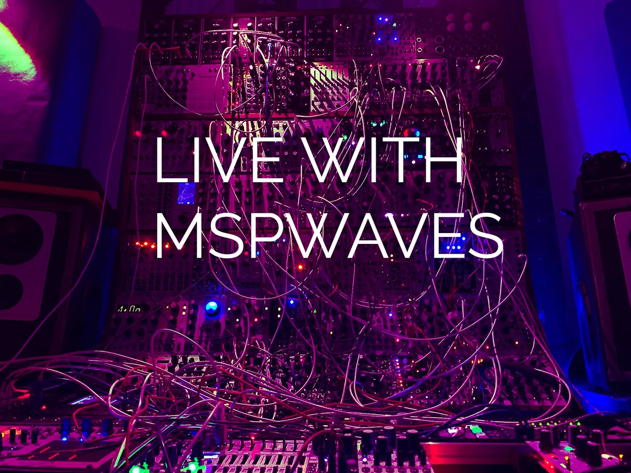 live with msp.jpg