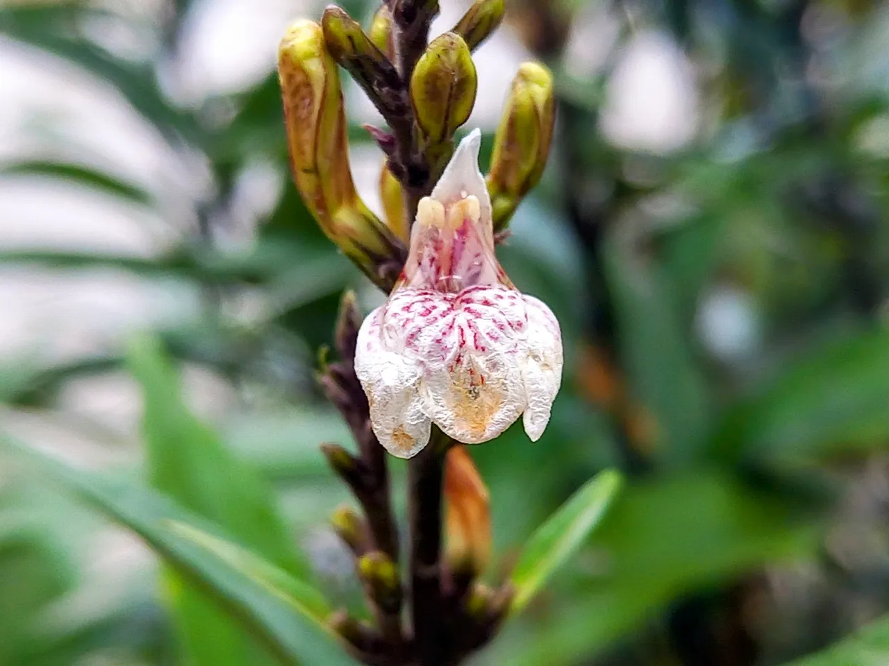 20250223_114432~2.jpg