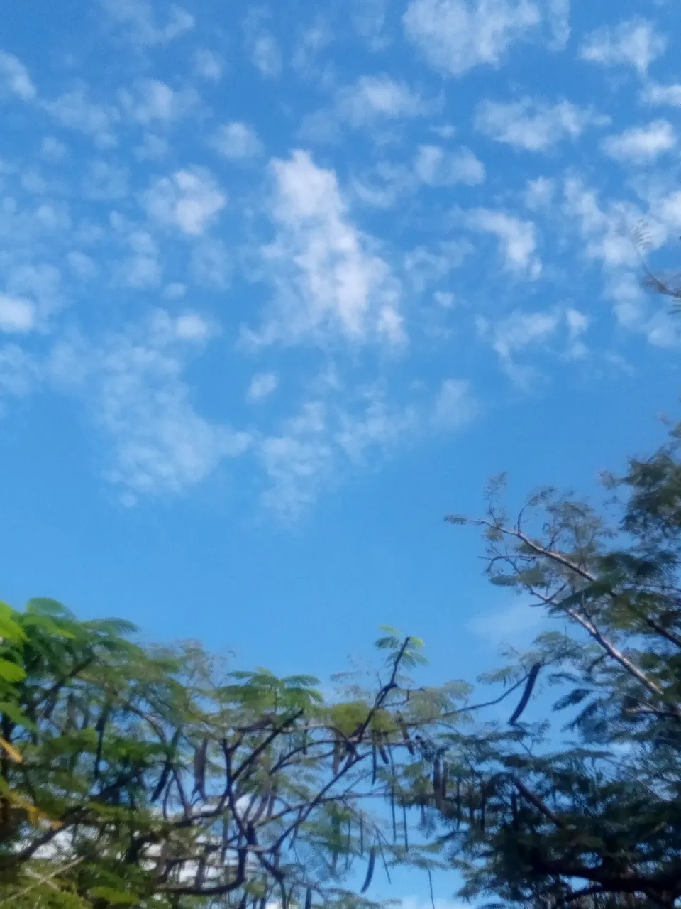 IMG_1602411886876.jpg