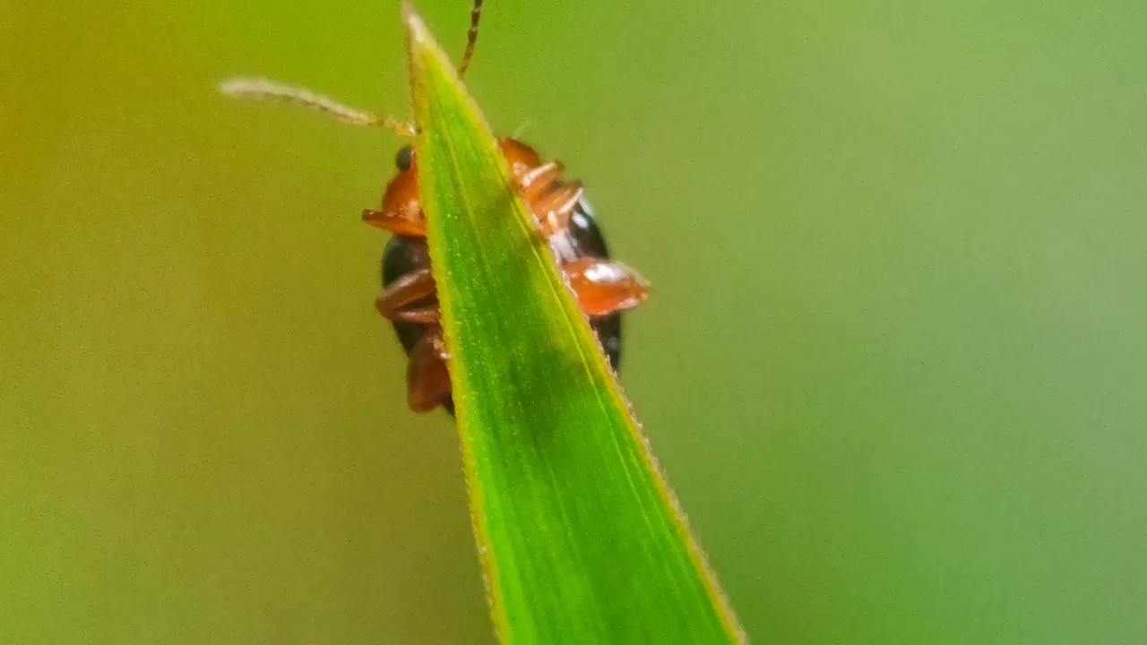 IMG20220815094411.jpg